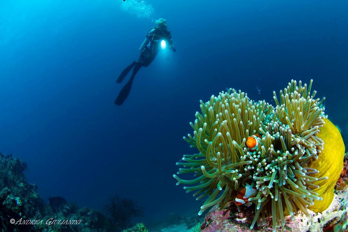 Sunset Cove Beach & Dive Resort Romblon Bagian luar foto
